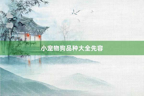 小宠物狗品种大全先容