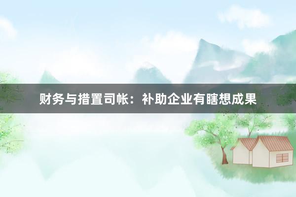 财务与措置司帐：补助企业有瞎想成果